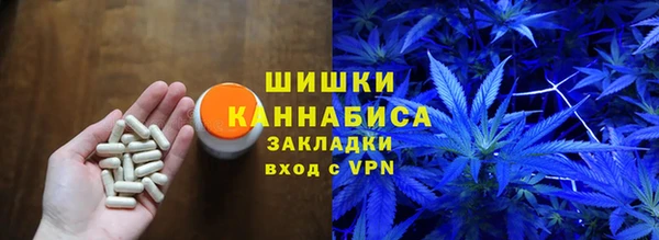 шишки Абинск