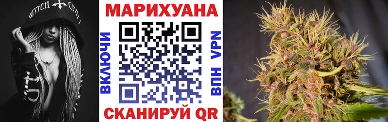 Конопля сатива  Верхоянск 